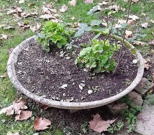 Fioriera in calcestruzzo rotonda, diametro 1 metro