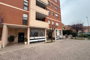 Torresina - attivita' di bar/tavola calda