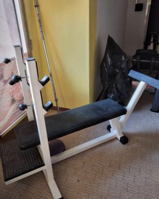 Panca piana technogym