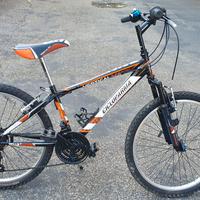 Mountain Bike bambino