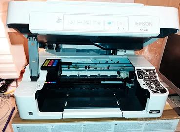 Stampante Epson XP-247