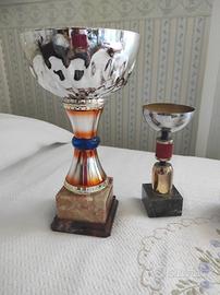 Due coppe per premiazione dportive