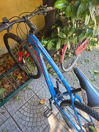 Bicicletta Hogan