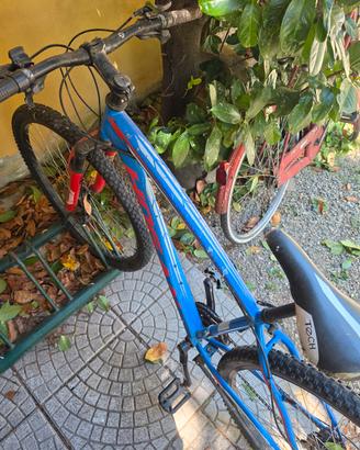 Bicicletta Hogan