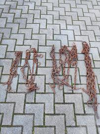 catene per mucche e vitelli 