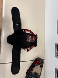 Paraschiena alpinestar