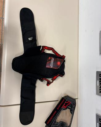 Paraschiena alpinestar