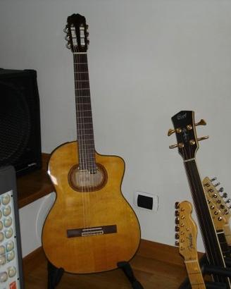 Takamine ED 50