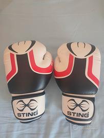 Guantoni Boxe STING Armapro 10 oz NUOVI in pelle