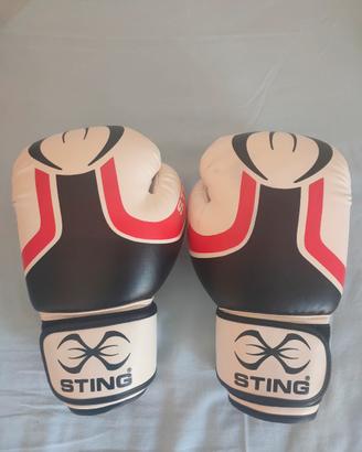 Guantoni Boxe STING Armapro 10 oz NUOVI in pelle