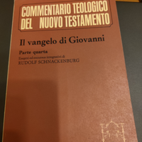 Commentario teologico del nuovo testamento