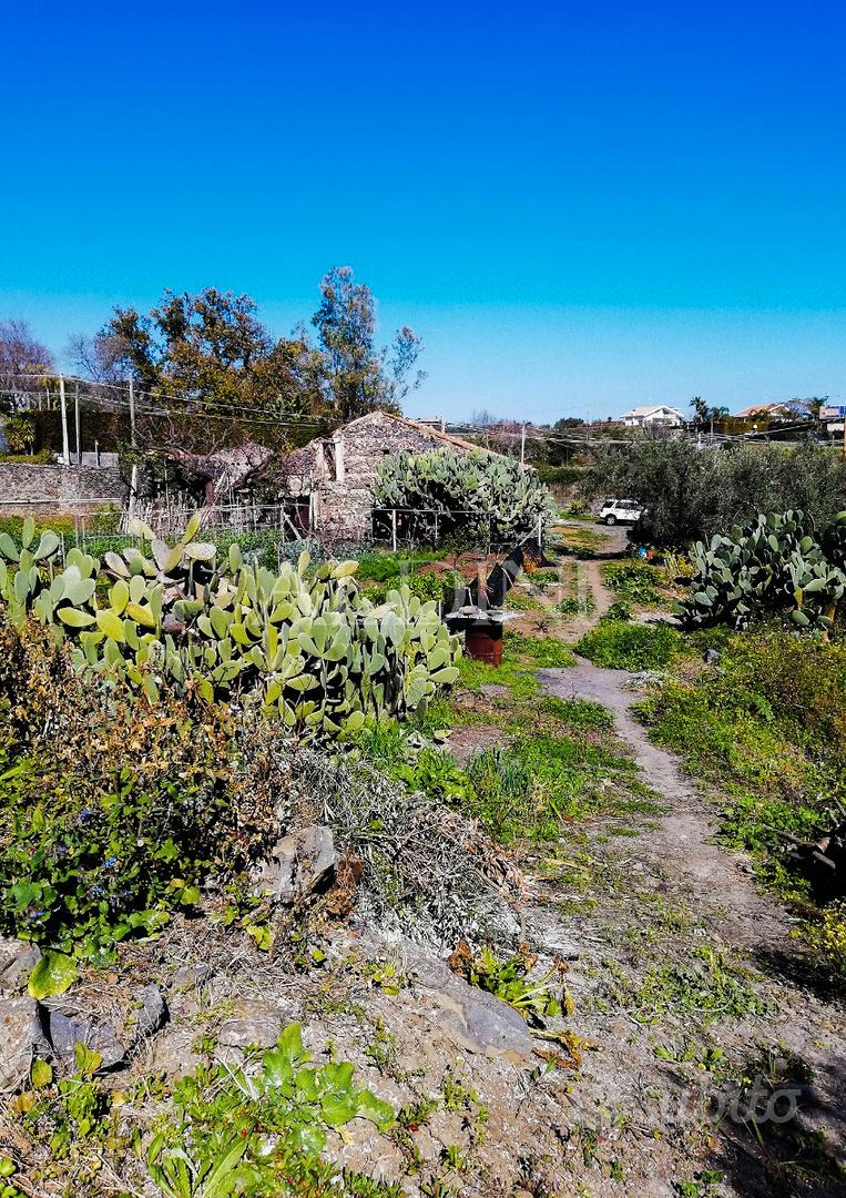 Aci Castello - Terreno con rustico - cod. b06329 - Vista 3