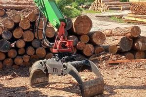PINZA FORESTALE PER TRONCHI