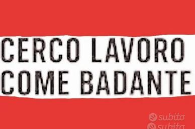 badante 