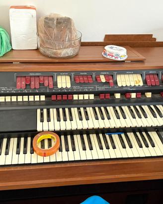Organo Hammond Crumar Haven 102