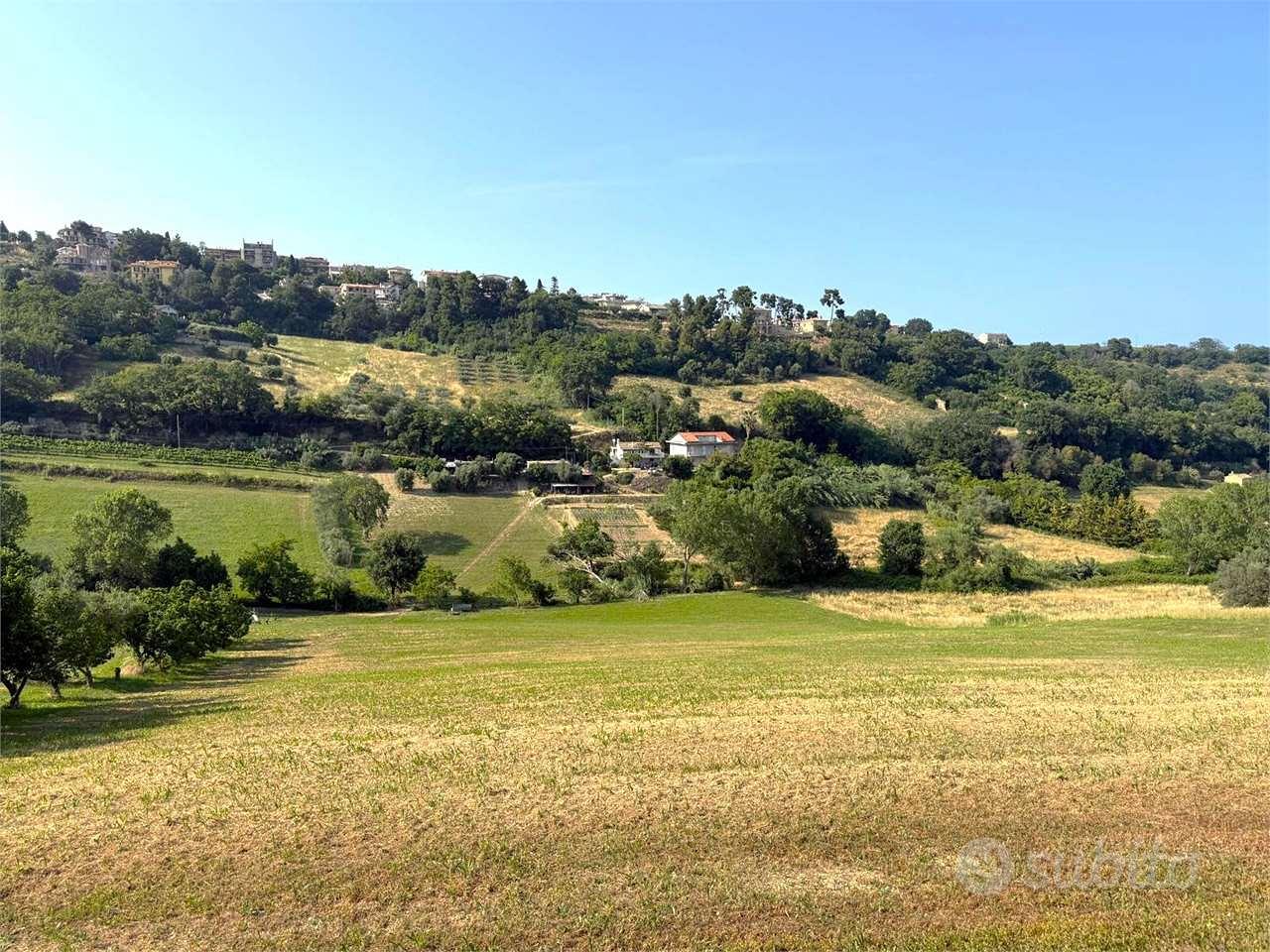 LOTTO DI TERRENO AGRICOLO in ZONA CAMPOFILONE - Vista 2