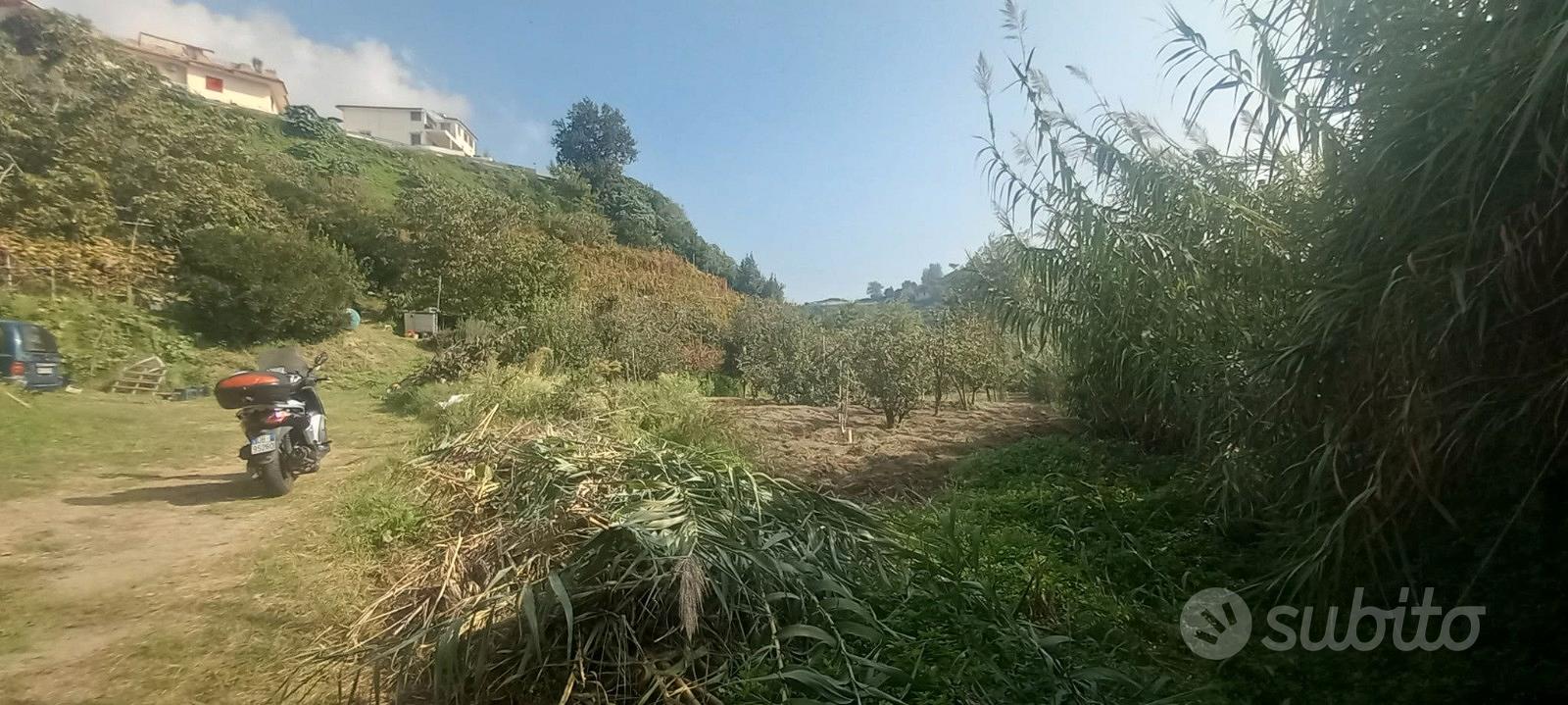 Pianura Via Angogna Rif.123T - Vista 4