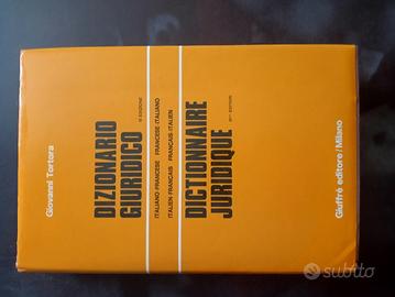 dizionario giuridico