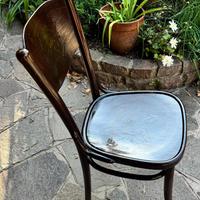 Sedie in legno stile Thonet