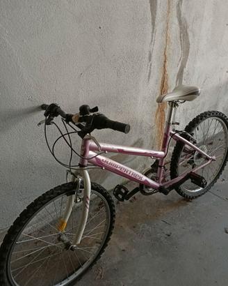 bicicletta rosa bambina 24