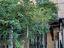 Immagine 18