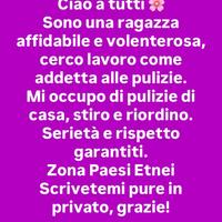 Addetta alle pulizie
