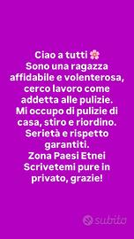 Addetta alle pulizie