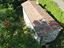 Immagine 26
