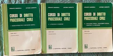Manuale diritto processuale Civile