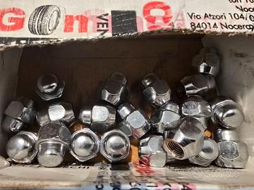 Bulloni per cerchi auto cromati (20 pz)