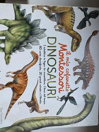 Cofanetto Montessori dinosauri