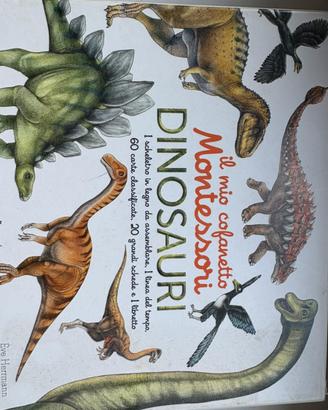 Cofanetto Montessori dinosauri