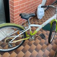 Mountan bike misura 24