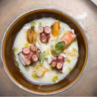 Chef-cuoco esperienze dimostrabili disponibile