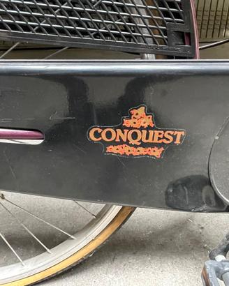 Bicicletta donna usata
