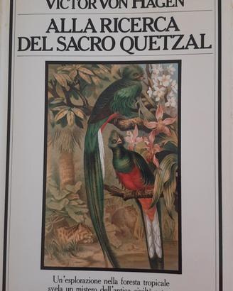 RIZZOLI