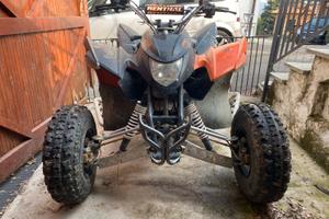 Quad Aeon Cobra 320 perfettamente funzionante.