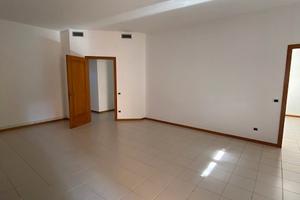 Ampio e luminoso ufficio al piano terra