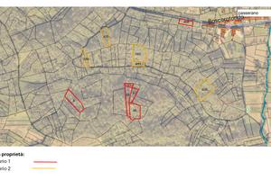 Boschi su vari appezzamenti a Passerano (AT)