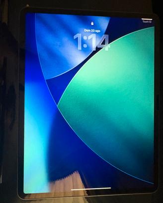 iPad Air 13” M4 128 GB 
Come nuovo, in garanzia