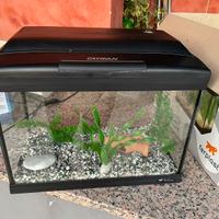 Acquario cayman 40