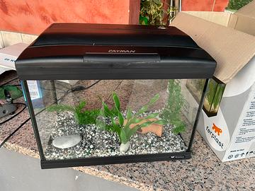 Acquario cayman 40