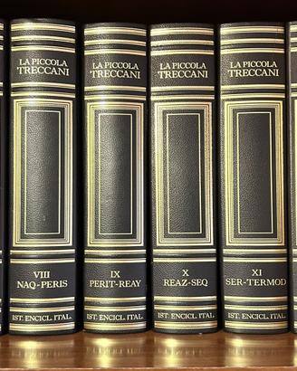 ENCICLOPEDIA DEL NOVECENTO PIU LA PICCOLA TRECCANI