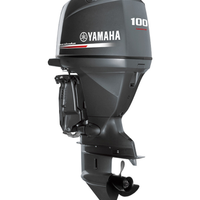 Yamaha F100 Tutti i Ricambi
