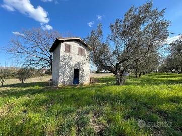 RUSTICO A VITERBO