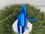 Immagine 5