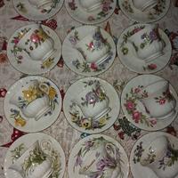 Tazzine da tè  vintage  12 mesi