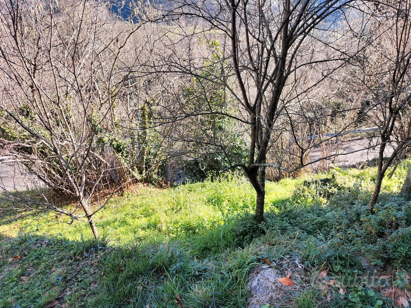 Rustico con terreno - Vista 4