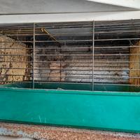 gabbia per criceti