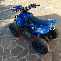 Mini Quad 50cc